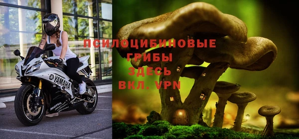 PSILOCYBIN Ивантеевка