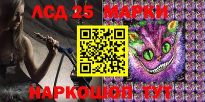 крисы Славгород