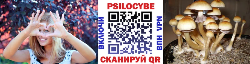Галлюциногенные грибы мухоморы  мориарти клад  Клинцы  omg как зайти 
