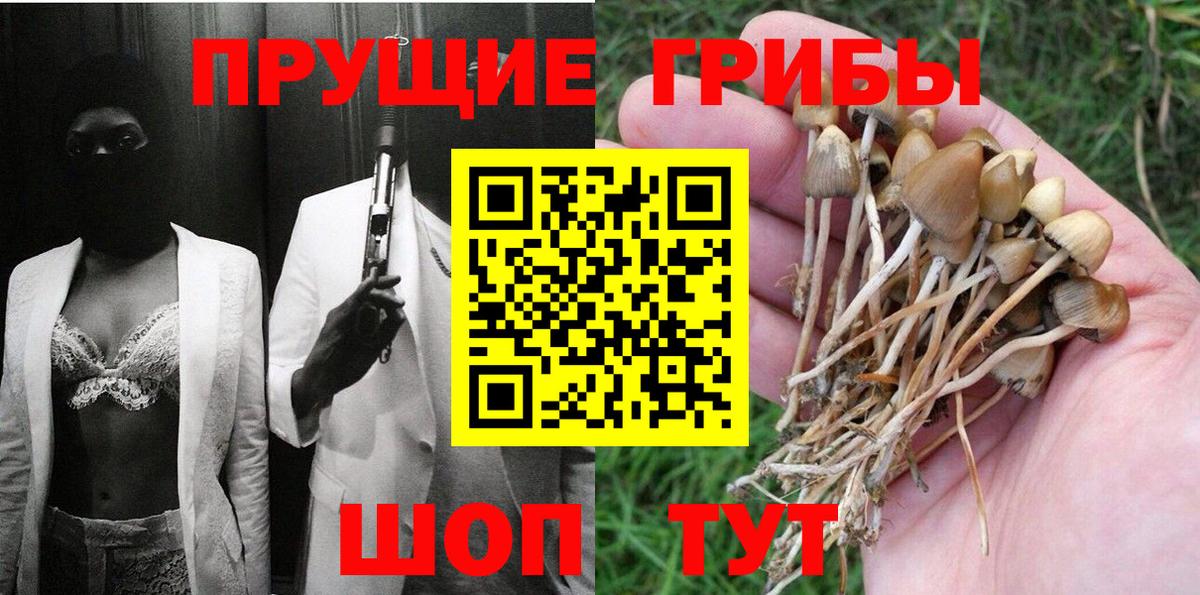 Псилоцибиновые грибы мицелий Клинцы