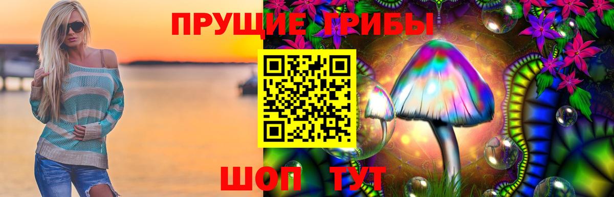 Клинцы  Галлюциногенные грибы Psilocybe  Вход с VPN 