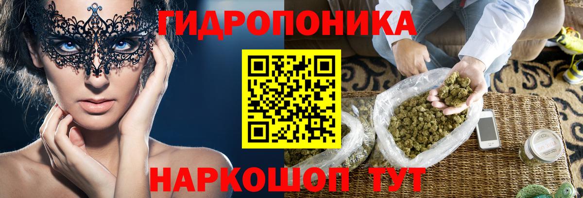 Клинцы  Канабис сатива  Конопля ГИДРОПОН  Шишки марихуана гибрид  Марихуана OG Kush  Вход с VPN 